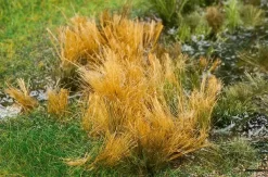 170715 Faller Schilf