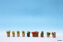 14031 Noch Blumen In Blumentöpfen