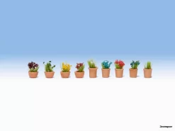 14084 Noch Blumen In Blumentöpfen