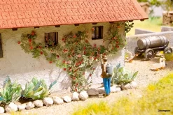 14118 Noch Kletterrosen