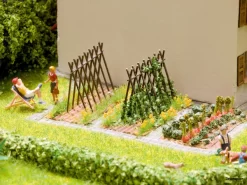 14604 Noch Bohnenstangen