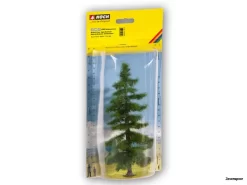 21810 Noch Nordmanntanne