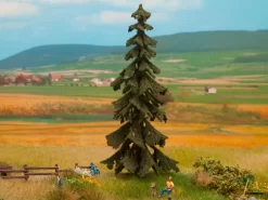 21922 Noch Wetterfichte