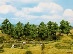 24601 Noch Laubbäume