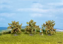 25114 Noch Orangenbäume