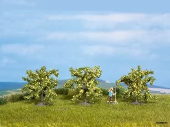 25115 Noch Zitronenbäume