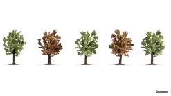 25615 Noch Obstbäume Blühend