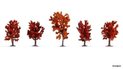 25625 Noch Herbstbäume