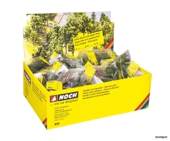 25952 Noch Laub- Und Nadelbäume