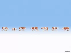 44251 Noch Kühe, Braun-weiß