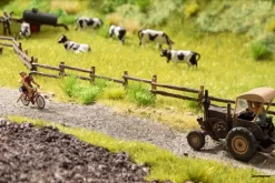 60773 Noch Vegetations-Startset “Am Wegesrand”